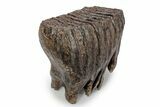 Fossil Woolly Mammoth Upper M Molar - Poland #357020-4